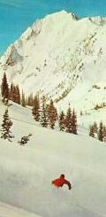 skiing at Alta